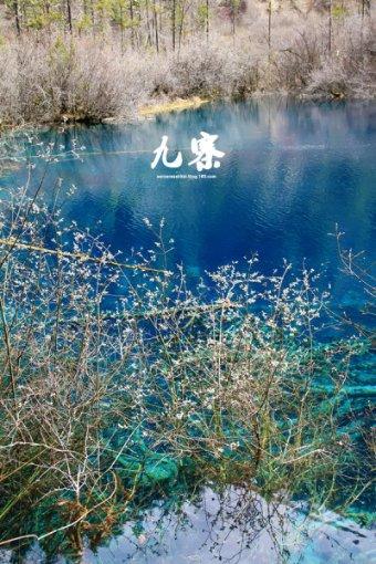 小猫钓鱼游戏龙王版有船