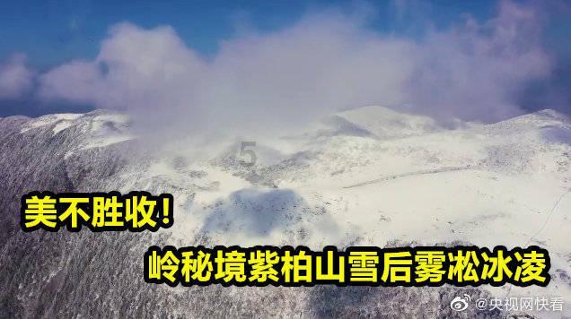 极品飞车19