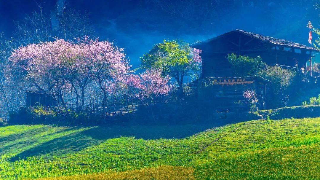 异械危机