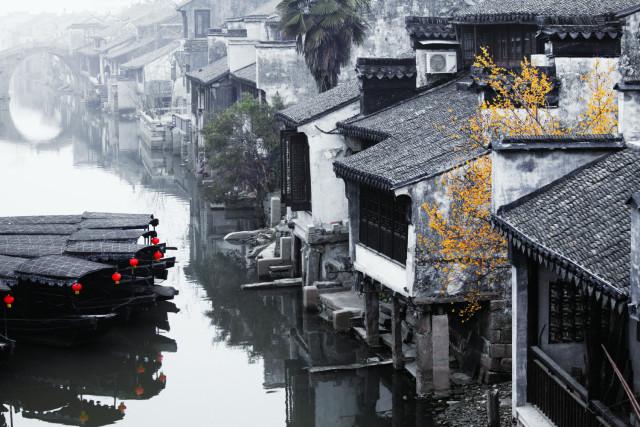 新华全媒+|安徽:湿地为迁徙候鸟提供“生态驿站”